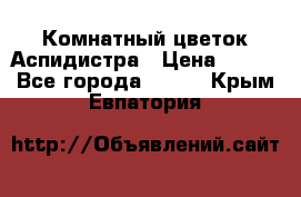 Комнатный цветок Аспидистра › Цена ­ 150 - Все города  »    . Крым,Евпатория